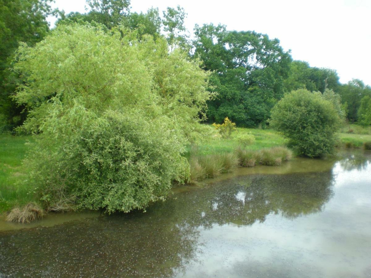 Gite Le Moulin De La Chaussee Saint-Denis-d'Orques Eksteriør billede